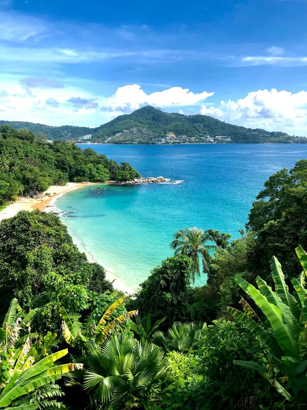 A turquoise cove seen through trees from the hillside above